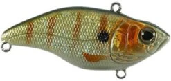 SPRO Aruku Shad 75 Lipless Crankbait 37 SPRO Aruku Shad 75 Lipless Crankbait -Fishing Sports Shop Perch 1cd0390a 9499 4793 9ca4 2c56e807b9ca