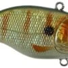 SPRO Aruku Shad Jr. Lipless Crankbait 1 SPRO Aruku Shad Jr. Lipless Crankbait -Fishing Sports Shop Perch 5107212c f555 45e9 b2d3 4528135e3026