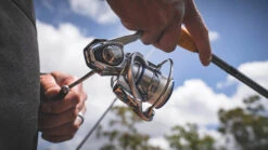 Daiwa Procyon MQ LT Spinning Reel -Fishing Sports Shop Procyon1Spot