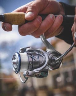 Daiwa Procyon MQ LT Spinning Reel -Fishing Sports Shop Procyon5Spot