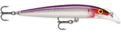 Rapala Scatter Rap Deep Husky Jerk -Fishing Sports Shop Purple Clown d11ebfd6 de67 43ba a3f3 8fbef0956eef