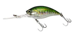 Yo-Zuri 3DB Deep Crank 2 3/4 Inch Deep Diving Crankbait 26 Yo-Zuri 3DB Deep Crank 2 3/4 Inch Deep Diving Crankbait -Fishing Sports Shop R1108 PBB e6dbabfc 2984 466f 8edc 5c23f0600bf5