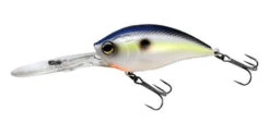 Yo-Zuri 3DB Deep Crank 2 3/4 Inch Deep Diving Crankbait 36 Yo-Zuri 3DB Deep Crank 2 3/4 Inch Deep Diving Crankbait -Fishing Sports Shop R1108 SSH 0a63c8be f52a 4b43 a231 c76630aafd8d