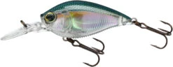Yo-Zuri 3DB Crank 1.5 MR Medium Diving Crankbait -Fishing Sports Shop R1353 RGZS 293c94d3 0b1f 473e a6be 5424a2d134f9