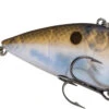 Strike King Red Eyed Shad 1/4 Oz. Lipless Crankbait -Fishing Sports Shop REYESD 583 aef8624f 4b7e 49ab 8366 99292062d3a8