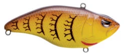 SPRO Aruku Shad Jr. Lipless Crankbait -Fishing Sports Shop SAS60SCW SpringCraw