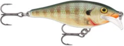 Rapala Scatter Rap Shad 07 Medium Diving Crankbait -Fishing Sports Shop SCRS BG