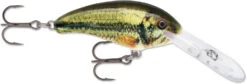 Rapala Shad Dancer SDD05 Medium Diving Crankbait -Fishing Sports Shop SDD LBL