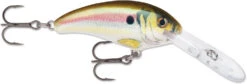 Rapala Shad Dancer SDD05 Medium Diving Crankbait -Fishing Sports Shop SDD RSL