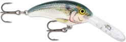 Rapala Shad Dancer SDD05 Medium Diving Crankbait -Fishing Sports Shop SDD SD