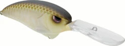SPRO Outsider DD 80 Crankbait 21 SPRO Outsider DD 80 Crankbait -Fishing Sports Shop SOSCDD80RVG RiverGold