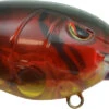 SPRO Mike McClelland RkCrawler 55 Deep Diving Crankbait -Fishing Sports Shop SRC55RCW RedCraw 49512293 c228 4676 a8b0 14e799e36523