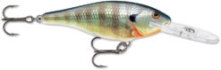 Rapala Shad Rap 2 Inch Medium Diving Crankbait SR05 33 Rapala Shad Rap 2 Inch Medium Diving Crankbait SR05 -Fishing Sports Shop SR BG 7062a3b8 36b4 4377 b803 5aed2a2c851a