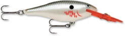 Rapala Shad Rap 2 Inch Medium Diving Crankbait SR05 31 Rapala Shad Rap 2 Inch Medium Diving Crankbait SR05 -Fishing Sports Shop SR BP