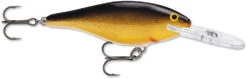 Rapala Shad Rap 2 Inch Medium Diving Crankbait SR05 38 Rapala Shad Rap 2 Inch Medium Diving Crankbait SR05 -Fishing Sports Shop SR G c9dc4300 cfe5 4920 aeba 110c8591c83b