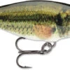 Rapala Shad Rap 2 Inch Medium Diving Crankbait SR05 -Fishing Sports Shop SR LBL
