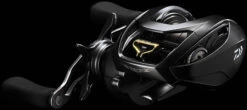 Daiwa Steez SV TW Baitcasting Reel 9 Daiwa Steez SV TW Baitcasting Reel -Fishing Sports Shop STEEZ SVTW HS PR