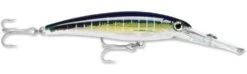 Rapala X-Rap Magnum 40 Big Game Slash Bait -Fishing Sports Shop Sailfish UV 49f7a10f d6dd 4b31 86c5 efe898da306a