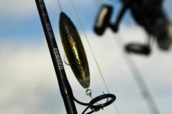 Temple Fork Outfitters Seahunter Spinning Rods -Fishing Sports Shop Seahunter Bottom Banner 3 99a9073b 1467 4106 a835 1795aa8022a3