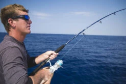 Temple Fork Outfitters Seahunter Spinning Rods -Fishing Sports Shop Seahunter Bottom Banner 5 26e996a0 9821 4303 b33c d8740b2a8591