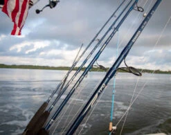 Temple Fork Outfitters Seahunter Spinning Rods -Fishing Sports Shop Seahunter Carousel Lifestlye 5 5fcc96e9 a99e 4f75 9eec a6252b369f3e