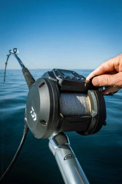 Daiwa Tanacom 800 Power Assist Electric Dendoh Reel -Fishing Sports Shop TANACOM 800 41