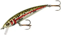Rebel TD47 Tracdown Ghost Minnow 2 1/2 Inch Barbless Hard Minnow 10 Rebel TD47 Tracdown Ghost Minnow 2 1/2 Inch Barbless Hard Minnow -Fishing Sports Shop TD47540