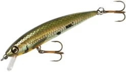 Rebel TD47 Tracdown Ghost Minnow 2 1/2 Inch Barbless Hard Minnow 11 Rebel TD47 Tracdown Ghost Minnow 2 1/2 Inch Barbless Hard Minnow -Fishing Sports Shop TD47542
