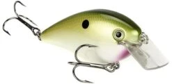 Strike King KVD Magnum Square Bill 8.0 Silent Crankbaits 37 Strike King KVD Magnum Square Bill 8.0 Silent Crankbaits -Fishing Sports Shop TN Shad cc806651 e52b 468e b99b 0c3f452e40c5