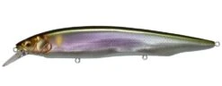 Megabass Kanata Jerkbait 29 Megabass Kanata Jerkbait -Fishing Sports Shop Wagin Setsuki Ayu 26733aab 41ec 429e b177 e056fe00ddce