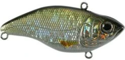 SPRO Aruku Shad Jr. Lipless Crankbait -Fishing Sports Shop Wild Shiner 8103e372 3ba3 4bb4 bfe2 10f4f96473ff