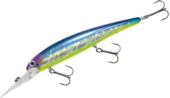 Bandit Suspending Minnow Walleye Deep -Fishing Sports Shop bdtsm01 blueshiner