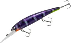 Bandit Suspending Minnow Walleye Deep -Fishing Sports Shop bdtsmol161 sharkbait