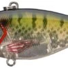 River2Sea Ruckus 3/4 Oz. Lipless Crankbait -Fishing Sports Shop blue 2Bgill