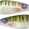 River2Sea Worldwide Spoon 100 -Fishing Sports Shop blue gill