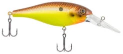 Berkley Bad Shad Medium Diving Crankbait -Fishing Sports Shop brown mustard