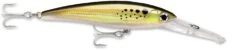 Rapala X-Rap Magnum 40 Big Game Slash Bait -Fishing Sports Shop bunker 628d1cb7 16e9 4812 9d82 e4fb9334c5e2