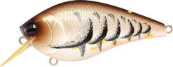 Lucky Craft LC 2.5 Shallow Squarebill Crankbait 36 Lucky Craft LC 2.5 Shallow Squarebill Crankbait -Fishing Sports Shop cameleon brown craw