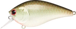 Lucky Craft LC 2.5 Shallow Squarebill Crankbait 26 Lucky Craft LC 2.5 Shallow Squarebill Crankbait -Fishing Sports Shop copper 2Bgreen 2Bshad