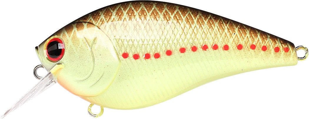 Lucky Craft LC 2.5 Shallow Squarebill Crankbait 8 Lucky Craft LC 2.5 Shallow Squarebill Crankbait - Image 6