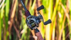 Daiwa Steez CT SV Baitcasting Reel -Fishing Sports Shop daiwa steez ct sv 5