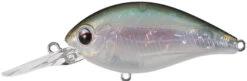 Evergreen International CR-6 Medium Diving Crankbait -Fishing Sports Shop evergreen CR 10 440 ghost wakasagi