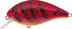 Evergreen International SH-3 Shallow Squarebill Crankbait -Fishing Sports Shop evergreen SH 3 223 speed craw