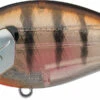 Evergreen International SH-3 Shallow Squarebill Crankbait 2 Evergreen International SH-3 Shallow Squarebill Crankbait -Fishing Sports Shop evergreen SH 3 246 ghost baby gill