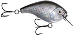 13 Fishing Scamp 1.5/2.5 Squarebill Crankbait -Fishing Sports Shop flipDisco shad