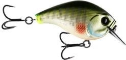 13 Fishing Scamp 1.5/2.5 Squarebill Crankbait -Fishing Sports Shop flipDream Gill