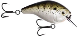 13 Fishing Scamp 1.5/2.5 Squarebill Crankbait -Fishing Sports Shop flipLouisiana Frog Cakes