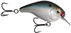 13 Fishing Scamp 1.5/2.5 Squarebill Crankbait -Fishing Sports Shop flipNatty night