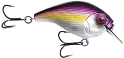 13 Fishing Scamp 1.5/2.5 Squarebill Crankbait -Fishing Sports Shop flipPurple Nurple