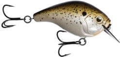13 Fishing Scamp 1.5/2.5 Squarebill Crankbait -Fishing Sports Shop flipTruffle Butter
